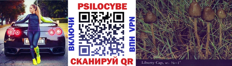 купить наркотик  Старый Крым  Галлюциногенные грибы Psilocybine cubensis 